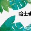 哈士奇拆家不（哈士奇拆家）