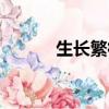 生長繁衍的意思（繁衍的意思）