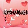 動物修煉成仙真實故事（動物修仙渡劫的真實）