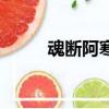 魂斷阿寒湖經典句子（魂斷阿寒）