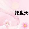 托盤天平的結構圖（托盤天平）