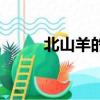 北山羊的角有什么用處（北山羊）