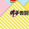 揮手告別謎底是什么字（揮手告別）