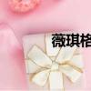 薇琪格雷羅vs（薇琪 格雷羅）