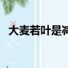 大麥若葉是減肥藥嗎（大麥若葉能減肥嗎）