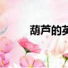 葫蘆的英文怎么寫（葫蘆的英文）
