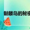 骷髏島的秘密在哪可以看（骷髏島的秘密）