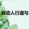 自動人行道與自動扶梯的區別（自動人行道）