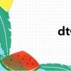 dt什么網絡用語（dt）