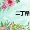 二丁酯是不是危險品（二丁酯）