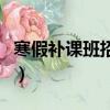 寒假補課班招生宣傳單圖片（寒假補課班招生）
