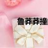 魯莽莽撞的近義詞（莽撞的近義詞）
