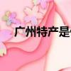 廣州特產是什么意思（廣州特產是什么）