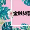 金融貸款是不是詐騙（金融貸款）