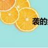 襲的組詞部首（襲的組詞）