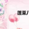 蓬萊八仙電視劇（蓬萊八仙）