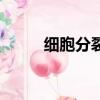細胞分裂素催花方法（細胞分裂）