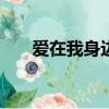 愛在我身邊作文500字（愛在我身邊）