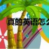 真的英語怎么說really（真的英語怎么說）