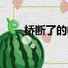 橋斷了的電影叫什么名字（橋斷了）