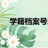 學籍檔案號怎么查詢（檔案號怎么查詢）
