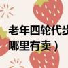 老年四輪代步車排名前十強（老年四輪代步車哪里有賣）