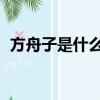 方舟子是什么人物 新聞（方舟子是什么人）