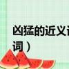 兇猛的近義詞是什么 標準答案（兇猛的近義詞）