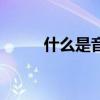 什么是音序（什么是音序和音節）