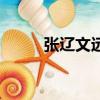 張遼文遠值得入手嗎（張遼文遠）