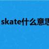 skate什么意思中文（skate是什么意思中文）