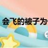 會飛的被子為什么是衛生巾（什么是衛生巾）