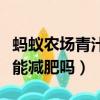螞蟻農場青汁真的可以減肥嗎（螞蟻農場青汁能減肥嗎）