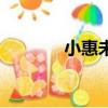 小惠未遍的讀音（小惠未遍）