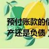 預付賬款的借方=應付的哪方（預付賬款是資產還是負債）