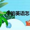 牛的英語怎么寫的（牛的英文怎么寫的）