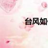 臺風如何起名字（如何起名字）