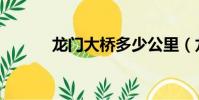 龍門大橋多少公里(龍門大橋)