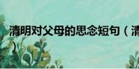 清明對父母的思念短句(清明寄語父母的詩句)