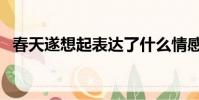春天遂想起表達了什么情感(春天遂想起)
