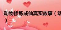 動物修煉成仙真實故事(動物修仙渡劫的真實)
