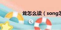 聳怎么讀(song怎么讀)