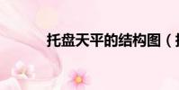 托盤天平的結構圖(托盤天平)
