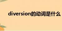 diversion的動詞是什么(diversion)
