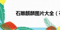 石雕麒麟圖片大全(石雕麒麟)