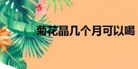 菊花晶幾個月可以喝(菊花精)