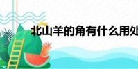 北山羊的角有什么用處(北山羊)
