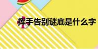 揮手告別謎底是什么字(揮手告別)