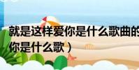 就是這樣愛你是什么歌曲的歌詞(就是這樣愛你是什么歌)