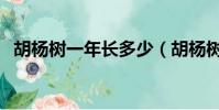 胡楊樹一年長多少(胡楊樹一年能長多高)